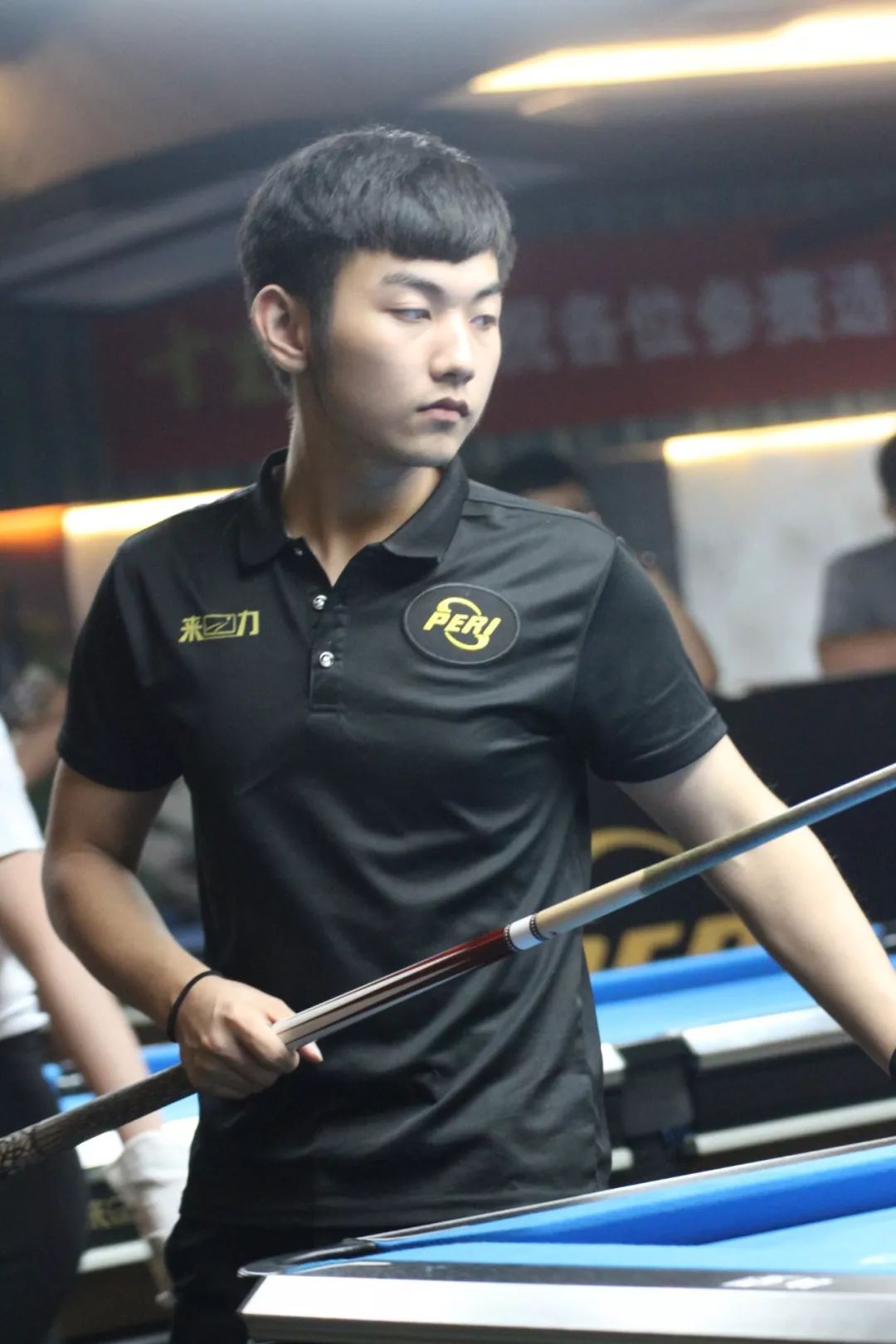 量珍藏品的 量珍藏品的